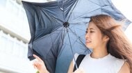 ひっくり返った傘は無理やり戻さないで！破損リスクを考えた対処法と“風に強い傘”の選び方を専門家が解説