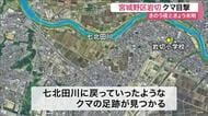 宮城野区岩切の住宅地でクマ目撃相次ぐ　小学校近くで警戒　七北田川付近で川に戻る足跡も発見〈仙台市〉