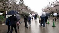 “春の嵐”帰宅ラッシュを直撃か　静岡県に「土砂災害警戒情報」　東京での花見は金曜がラストチャンスか