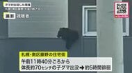 【5時間も住宅徘徊するクマ】南区・藤野の住宅街に体長70センチほどの子グマ出没_住宅街を5時間徘徊しハンターが駆除〈北海道札幌市〉