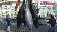 日本海の“黒いダイヤ”天然クロマグロ初水揚げ！境港で初競り　漁獲シーズン到来で市場に活気（鳥取）