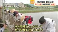 ＪＡ菊池の新入職員４人が早乙女姿に　五穀豊穣願う菊池神社の御田植祭 【熊本】