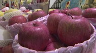 天然本マグロの丼ぶりや職人手作業の組み木など…青森の物産と観光展 開催【岡山・岡山市】
