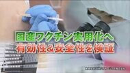 副反応の弱い国産コロナワクチンが2022年実用化へ…11歳以下や3…