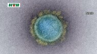 【速報】新型コロナワクチン接種者が死亡…ワクチン接種との因果関係は調査中