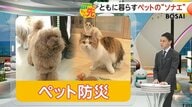災害時の“ペットの避難”8年ぶりガイドライン見直しへ　食料や水は最低5日分…どう備える？「ペット防災」