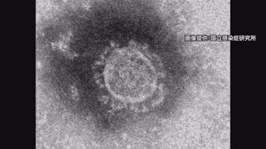 新型コロナ感染者 新たに5人を松山市で確認 4人は葬儀で集団感染【愛媛】