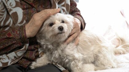 “家族”と最後まで一緒に　高齢者とペットが暮らす特養　散歩やごはんも施設がサポート　神奈川・横須賀市