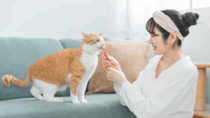 ペット向け消耗品のEC購入についての消費者調査