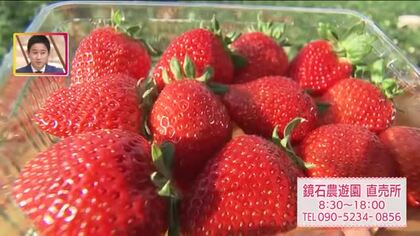 土作りへの情熱が生んだ絶品イチゴと歴史ある牧場でのキャンプ体験《もっと！ぐっと！鏡石町》