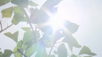 島根県で今年初の死者確認…熱中症搬送者が梅雨明け後の猛暑続出で急増　山陰両県で1週間に130人余