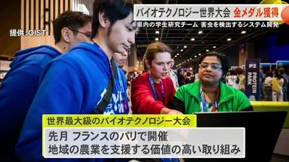 沖縄県の若手研究者チームが世界最大級のバイオテクノロジー大会で金メダル！マンゴーの害虫検出システム