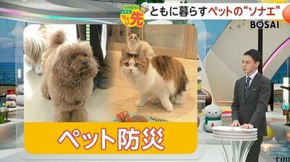 災害時の“ペットの避難”8年ぶりガイドライン見直しへ　食料や水は最低5日分…どう備える？「ペット防災」