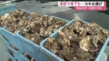 被害は養殖施設だけでなくカキにも…カムチャツカ半島沖地震津波で被災　気仙沼市で水揚げ始まる〈宮城〉