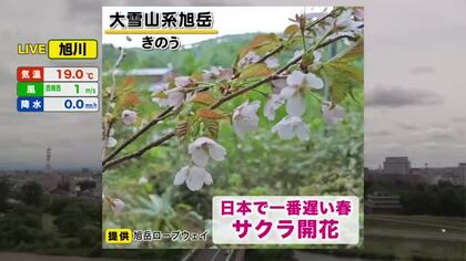 【北海道の天気 22日(月)】道南は雨が続く 道央・道北は急な雷雨に注意…今週は気温変化が大きく体調管理は万全に！
