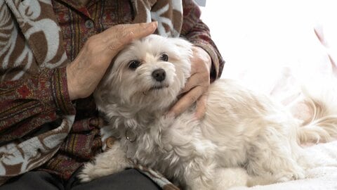 “家族”と最後まで一緒に　高齢者とペットが暮らす特養　散歩やごはんも施設がサポート　神奈川・横須賀市