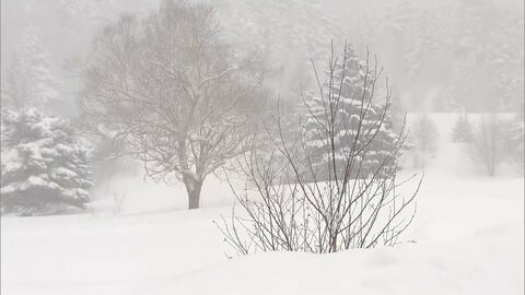 バックカントリーで行動不能の韓国籍男性（38）救助　1月の遭難は9件12人うち11人が外国籍　2人死亡1人不明　長野県警