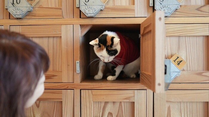 福ちゃんの存在が闘病の日々を支えた