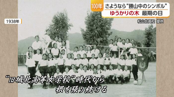 「長い間、見守り続けてくれたゆうかり」