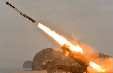 25日発射の巡航ミサイルとされる写真