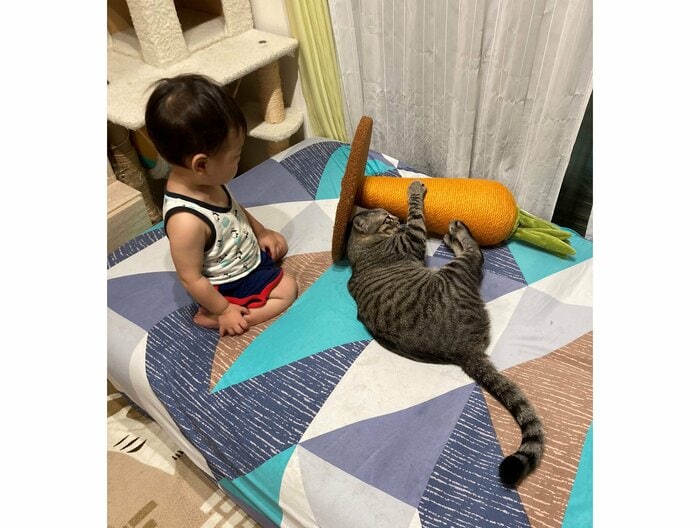 提供:かぎしっぽすず&つむぎさん