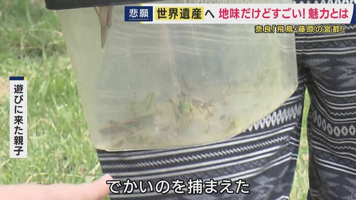 世界遺産登録へ！…も「バッタとり」する子供も