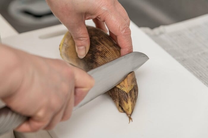 穂先を3cmほど斜めに切り落とします（イメージ）