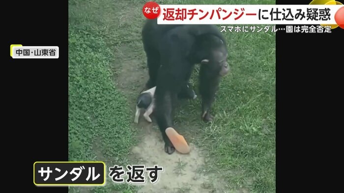 落ちたサンダルを返す東東(中国SNSより)