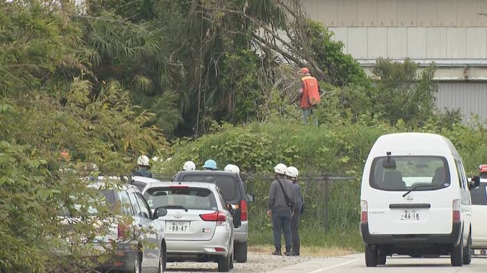 クマが潜んでいた薮の中から発砲音がする（30日午後0時55分頃）