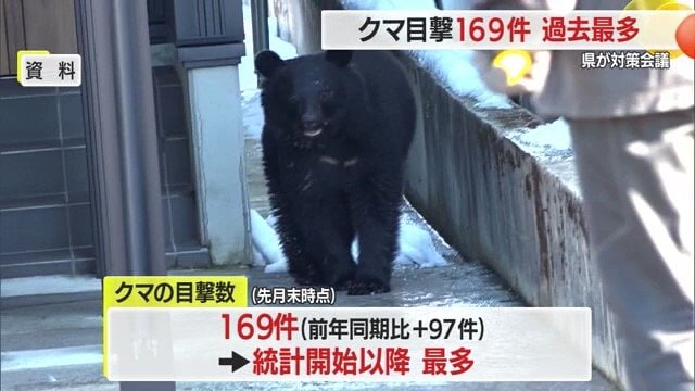 2025年は、統計をとり始めて以降、過去最多のペースでクマが出没・目撃されている
