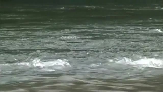岩国・錦川 川遊びの男子児童が死亡