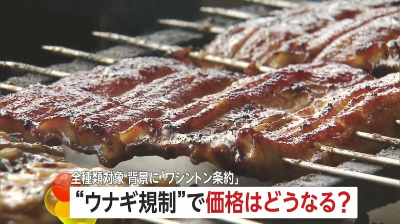 うなぎの価格は今後どうなる？国際取引に“規制強化”の動き…11月末に国際会議控え小泉農水相「全力尽くす」｜FNNプライムオンライン