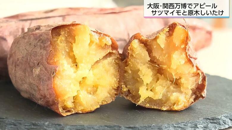 関西万博で宮崎の自信作「焼き芋」登場！くしまアオイファームが描く世界戦略、宮崎サツマイモの可能性を探る｜FNNプライムオンライン