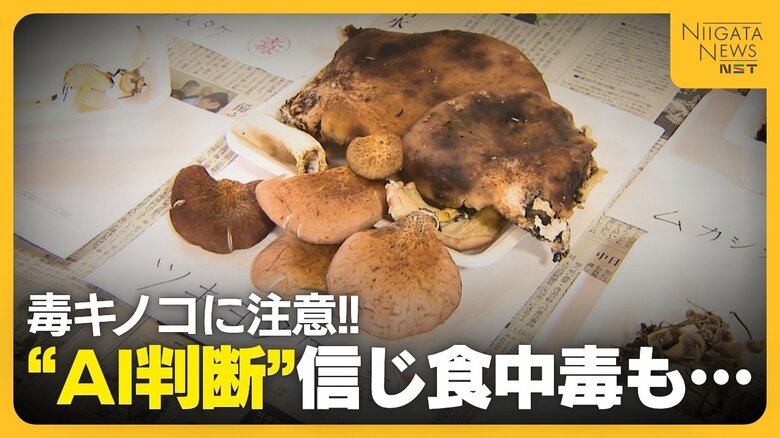 【毒キノコ】“AI判断”信じ食中毒に…「間違ったこと書いている」専門家が注意呼びかけ 判断できないものは“採らない・食べない・人にあげない”徹底を!|FNNプライムオンライン