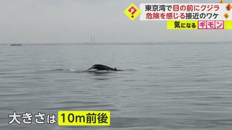 (画像:ビデオポスト(視聴者投稿映像)より)