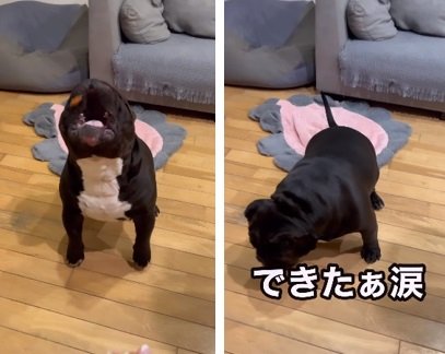 失敗を重ね…とうとう大成功！