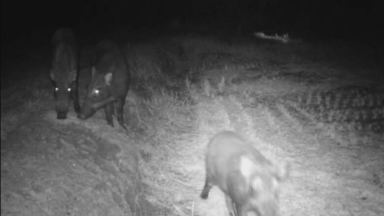 提供：山﨑久雄さん