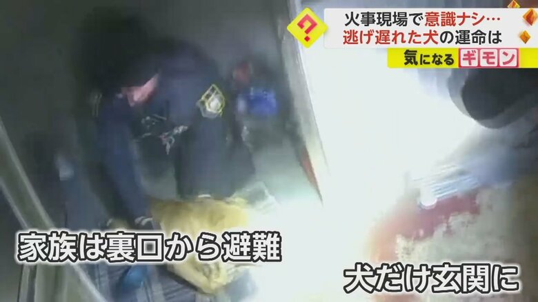 火災現場から犬を救出する警察官