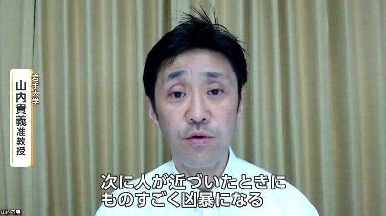 岩手大学・山内貴義准教授