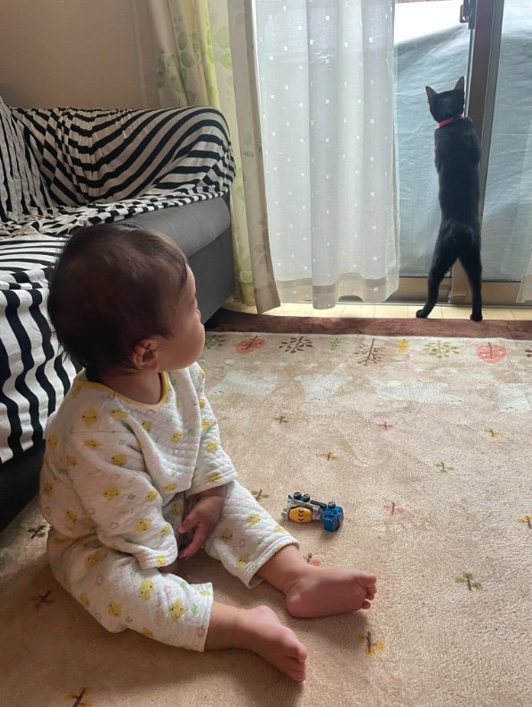 提供：ゴンゾウR4さん