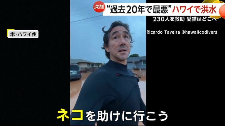 「ネコを助けに行こう」と、行方不明になったネコを捜していた浸水した街を歩く男性