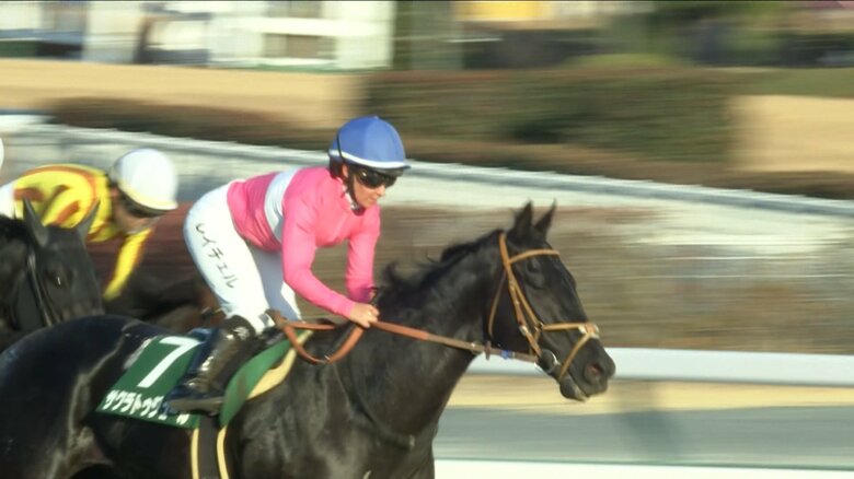 去年の京都金杯・GⅢを制したサクラトゥジュール