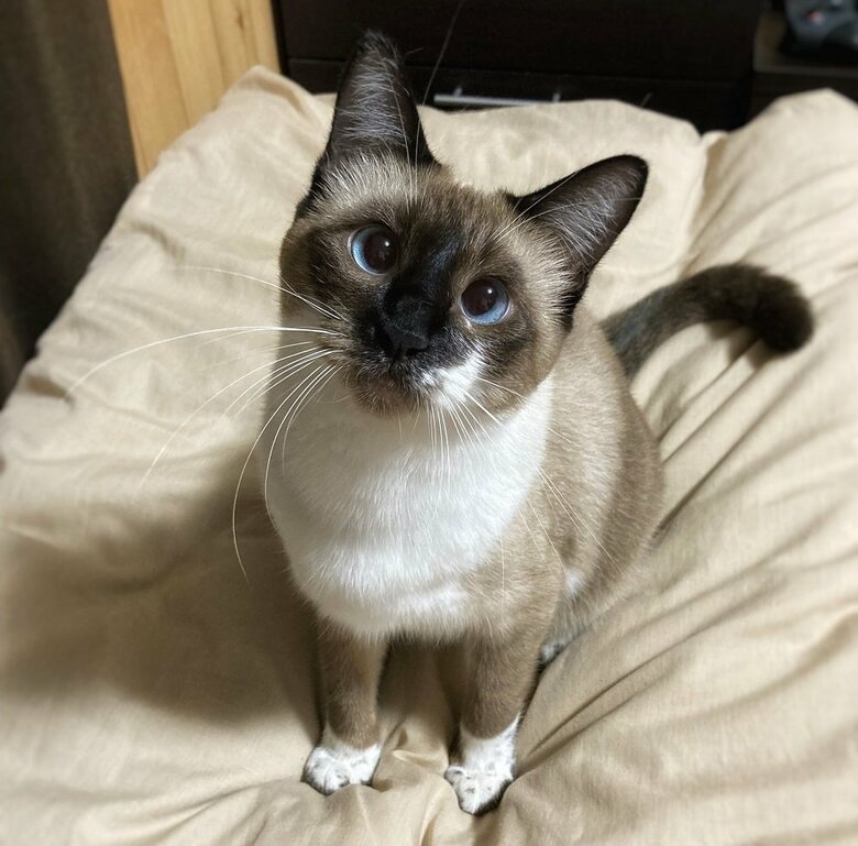 保護してから1年頃