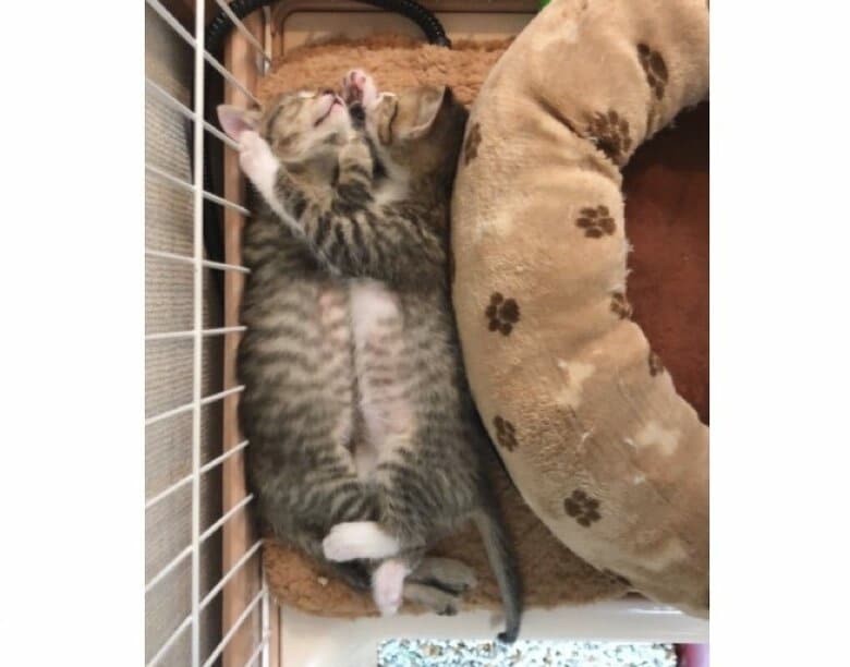 提供：もずく＆こんぶさん