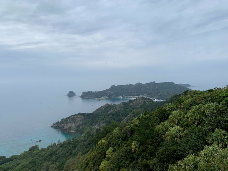 亜熱帯林の山が海岸線に迫る