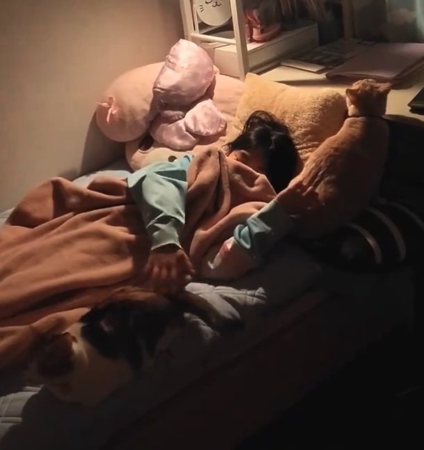 提供：nyaokoさん