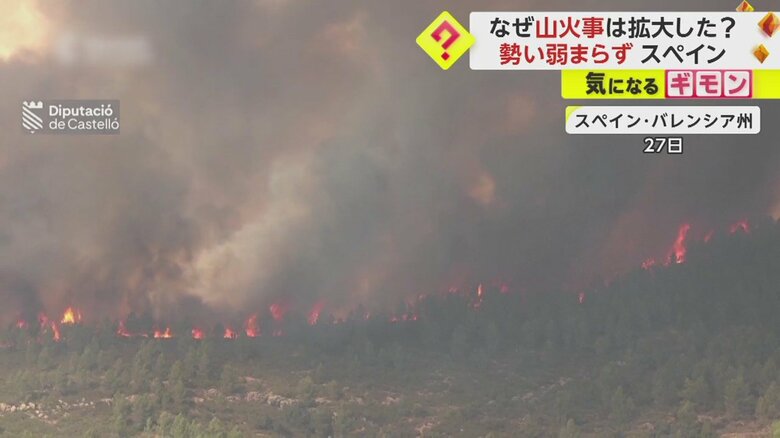 森林が激しく燃え、大量の煙が立ち上っている