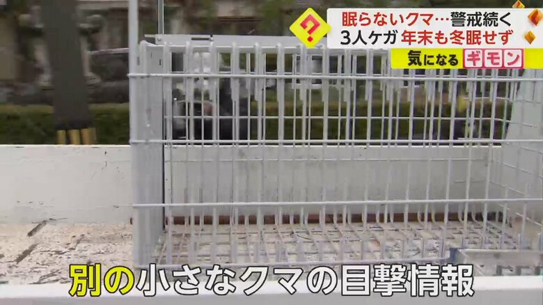 空っぽの捕獲器