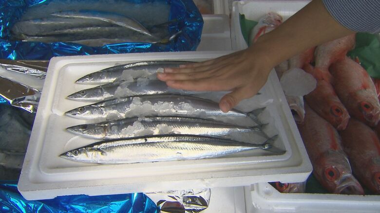 松江市の鮮魚店に入荷したサンマ