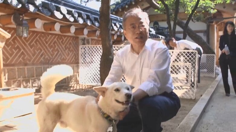 韓国の文在寅前大統領